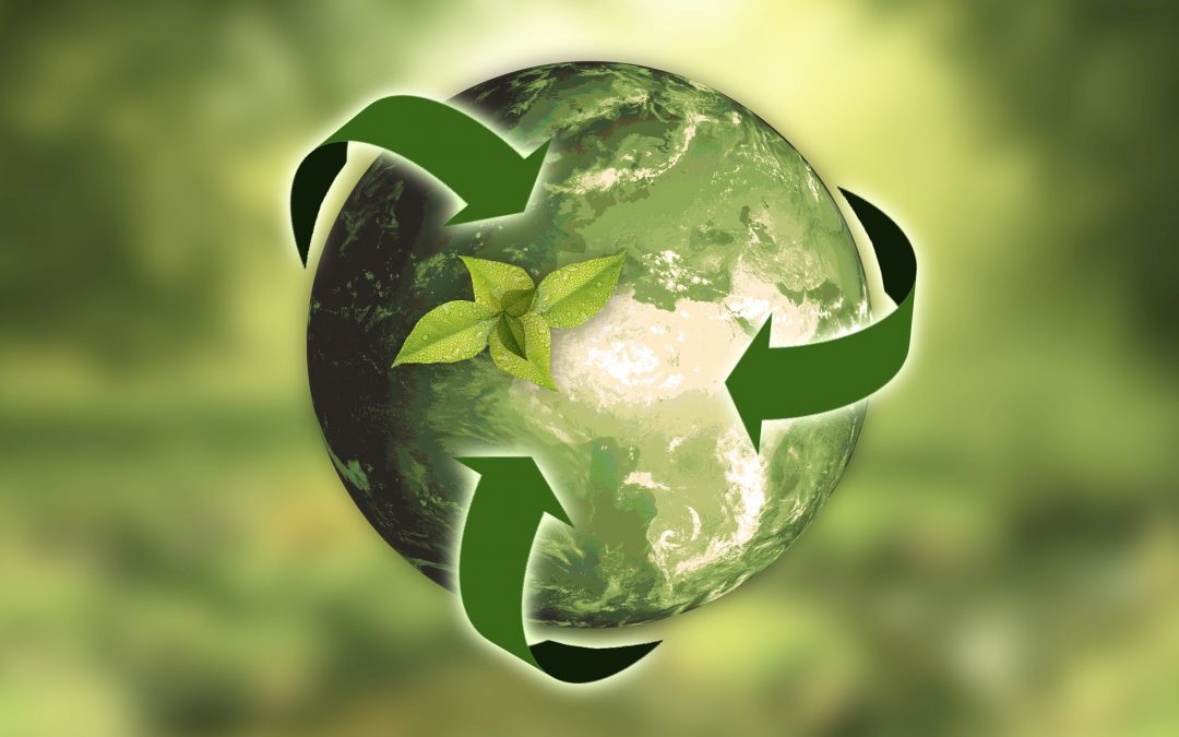 Economia circolare: Più sostenibilità e meno sprechi!